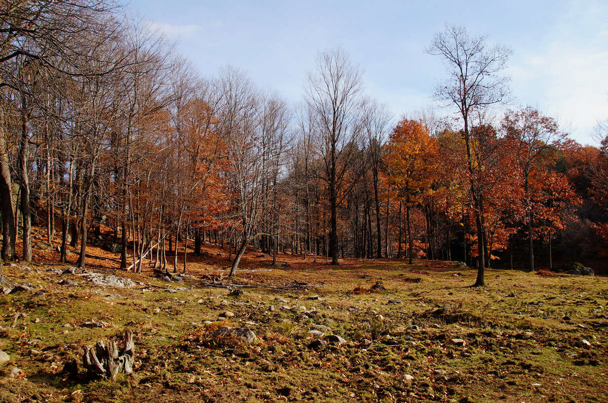 � �������� ������� ����� �������  �� PhotoGeek.ru #������ ��� �������