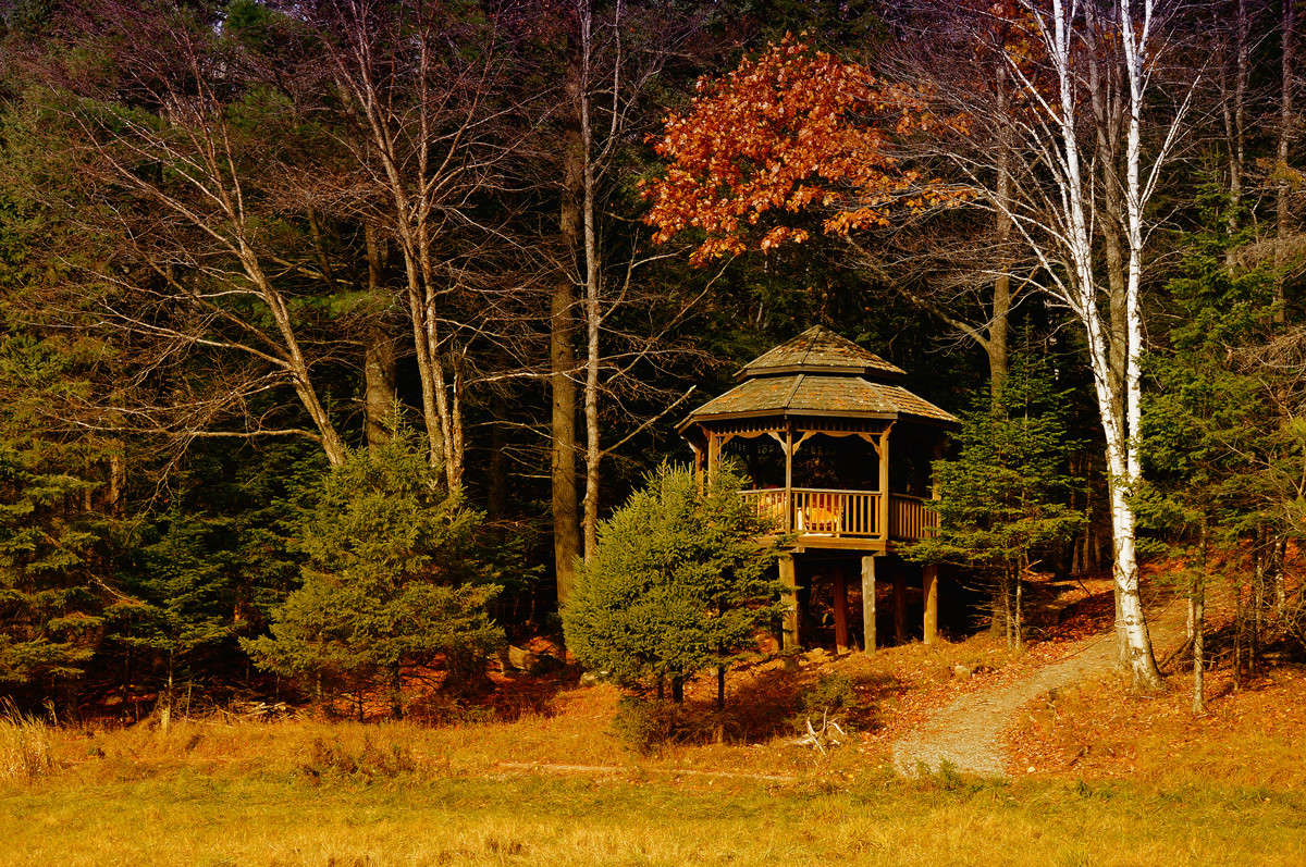 ������� ����� �������  �� PhotoGeek.ru #������ ��� �������