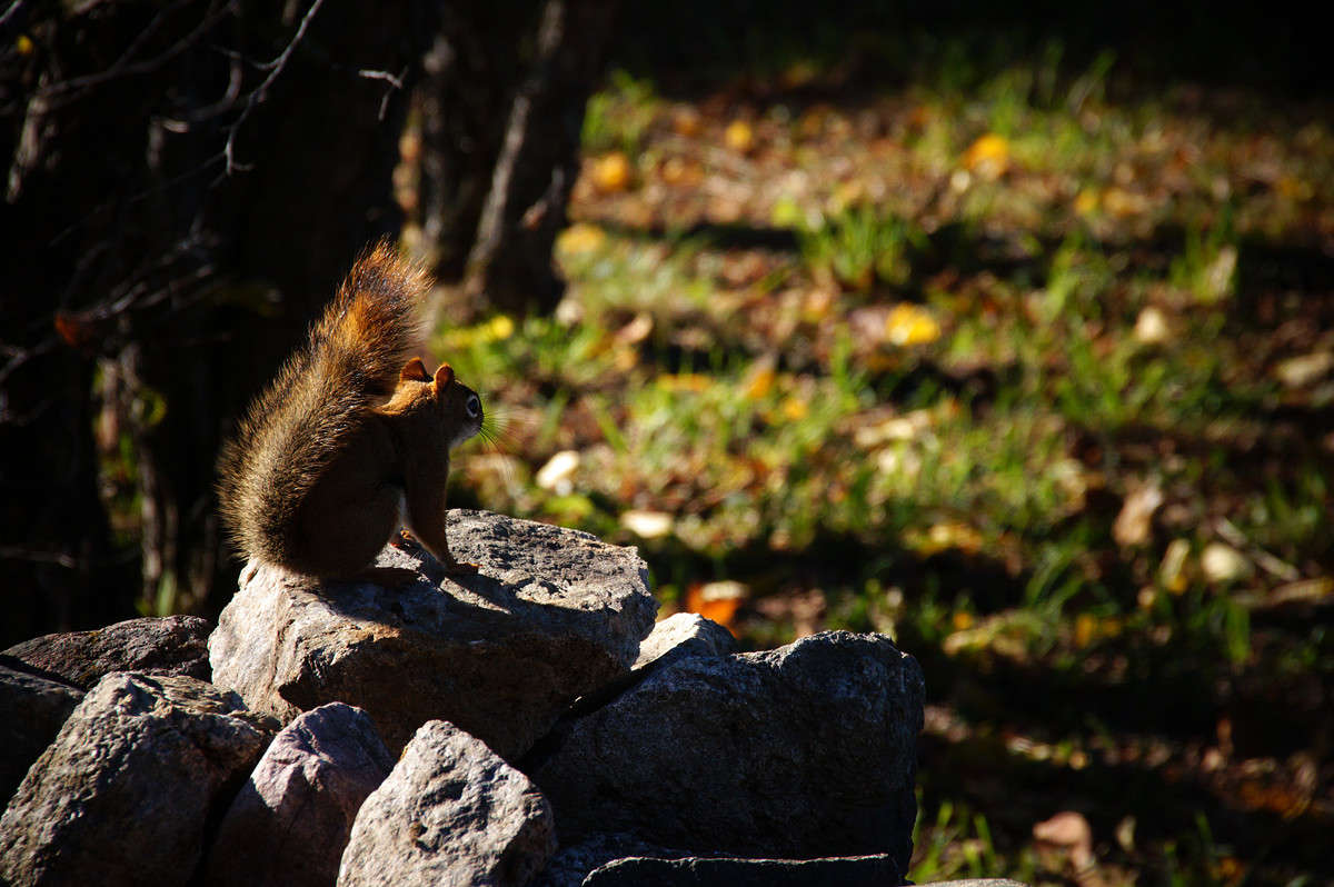 ��������� ����� ����� �������  �� PhotoGeek.ru #�������� ��� #������ ��� �������