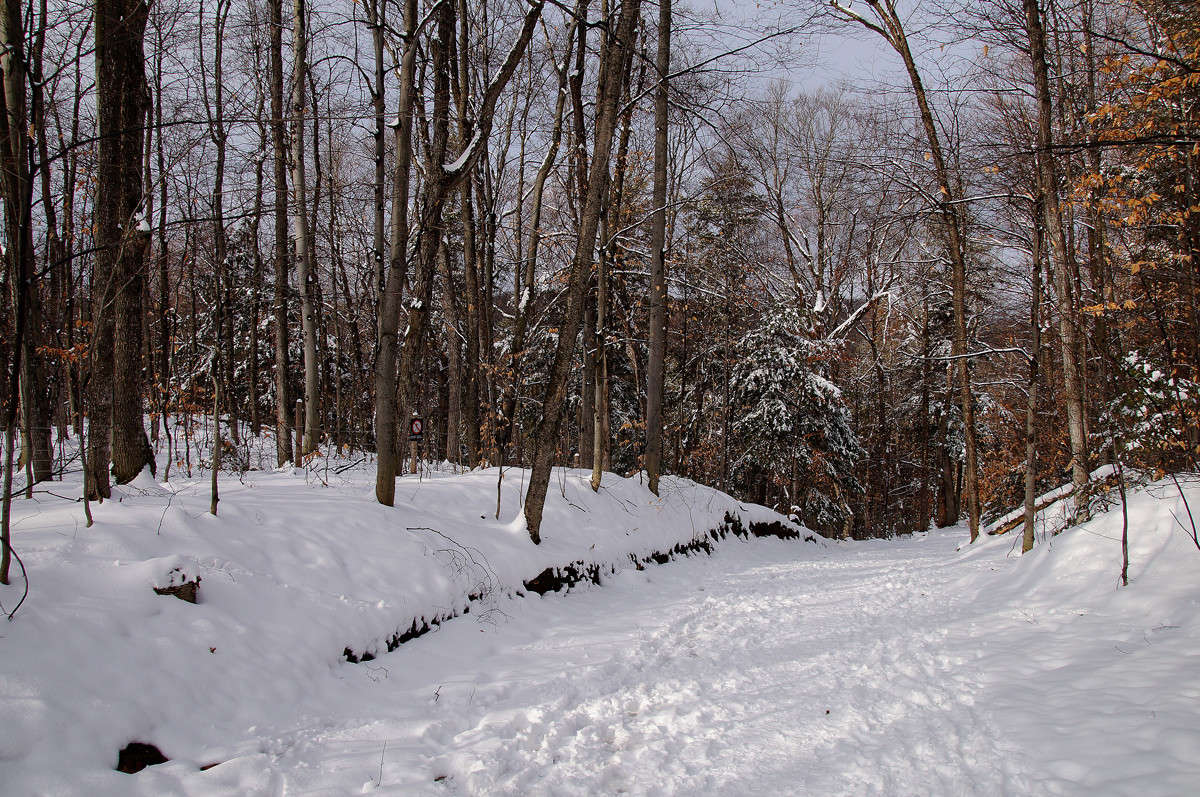 ��������� ����� �������� ����� �������  �� PhotoGeek.ru #������ ��� �������