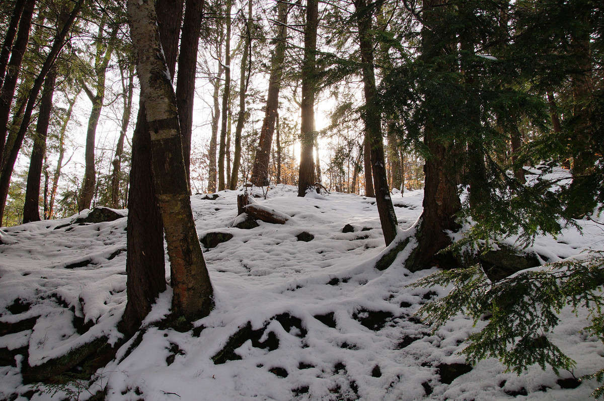 ������������� �������� �� ������� ����� �������  �� PhotoGeek.ru #������ ��� �������