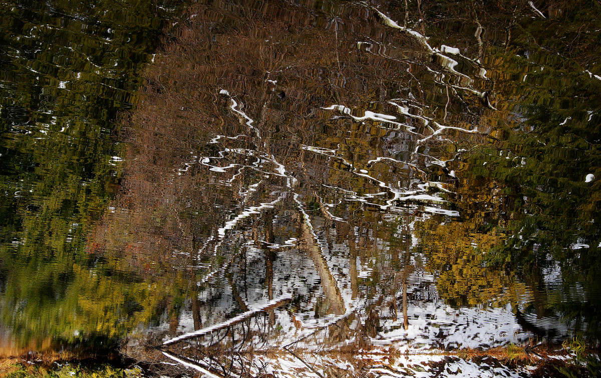 ���������� �������� ����� �������  �� PhotoGeek.ru #������ ��� �������