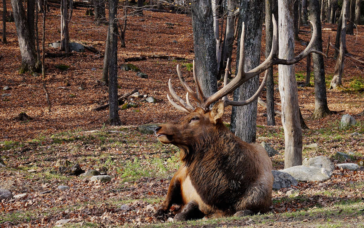 ��������� ������ ���� ����� �������  �� PhotoGeek.ru #�������� ���