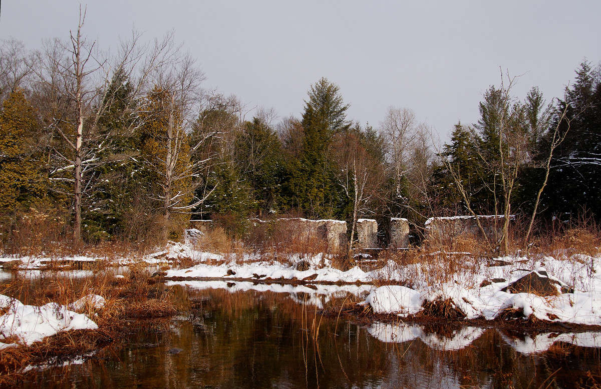 ��������� ������ ����� �������  �� PhotoGeek.ru #������ ��� �������