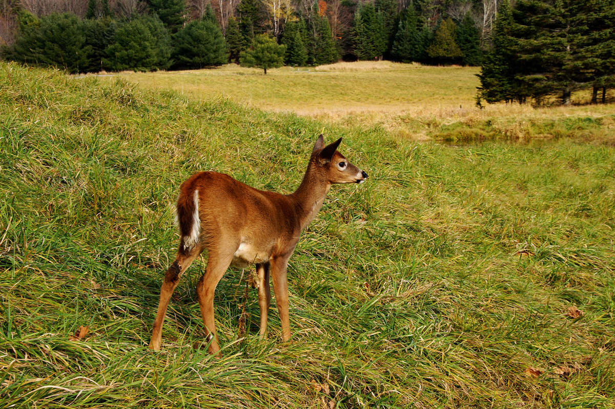 ������ - ������ ����� �������  �� PhotoGeek.ru #�������� ���