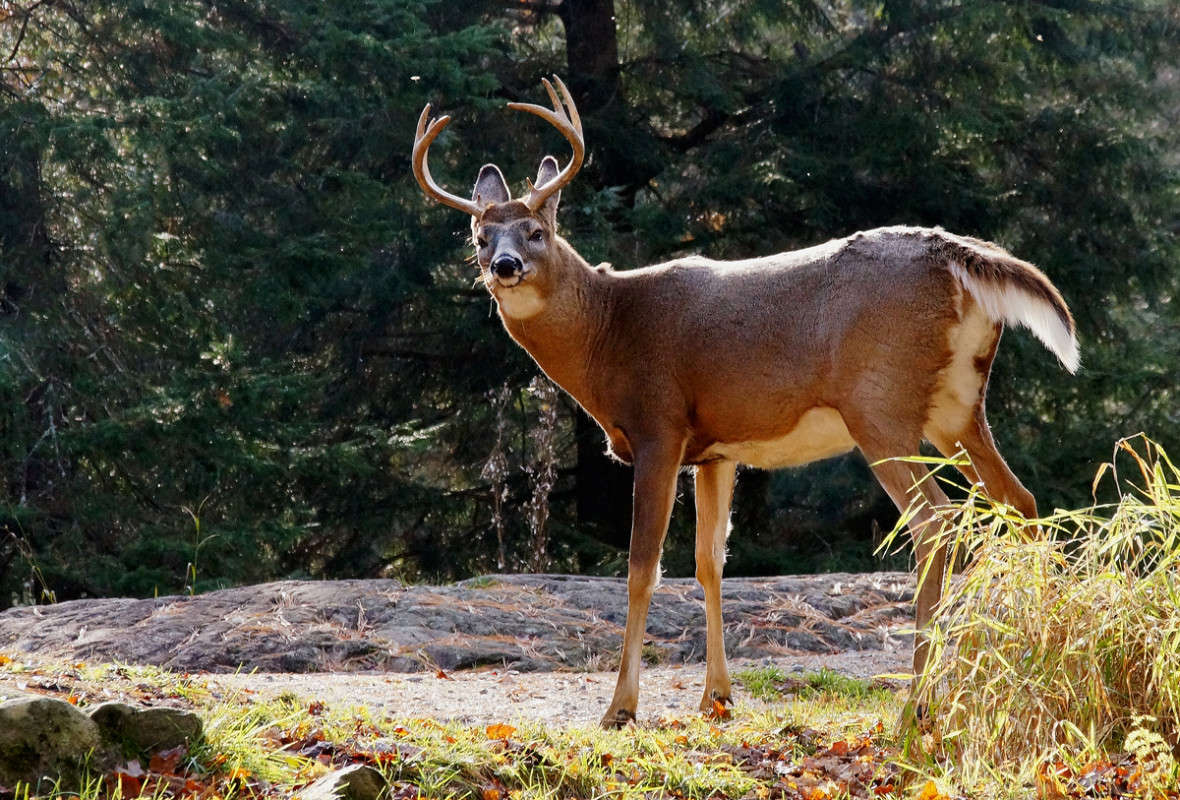 ������, �� �������! ����� �������  �� PhotoGeek.ru #�������� ���