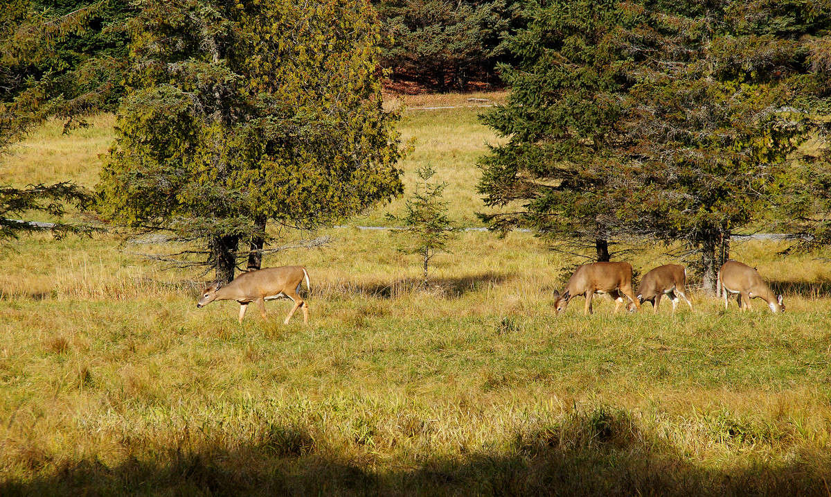 �� ������ ������� ����� ����� �������  �� PhotoGeek.ru #�������� ��� #������ ��� �������