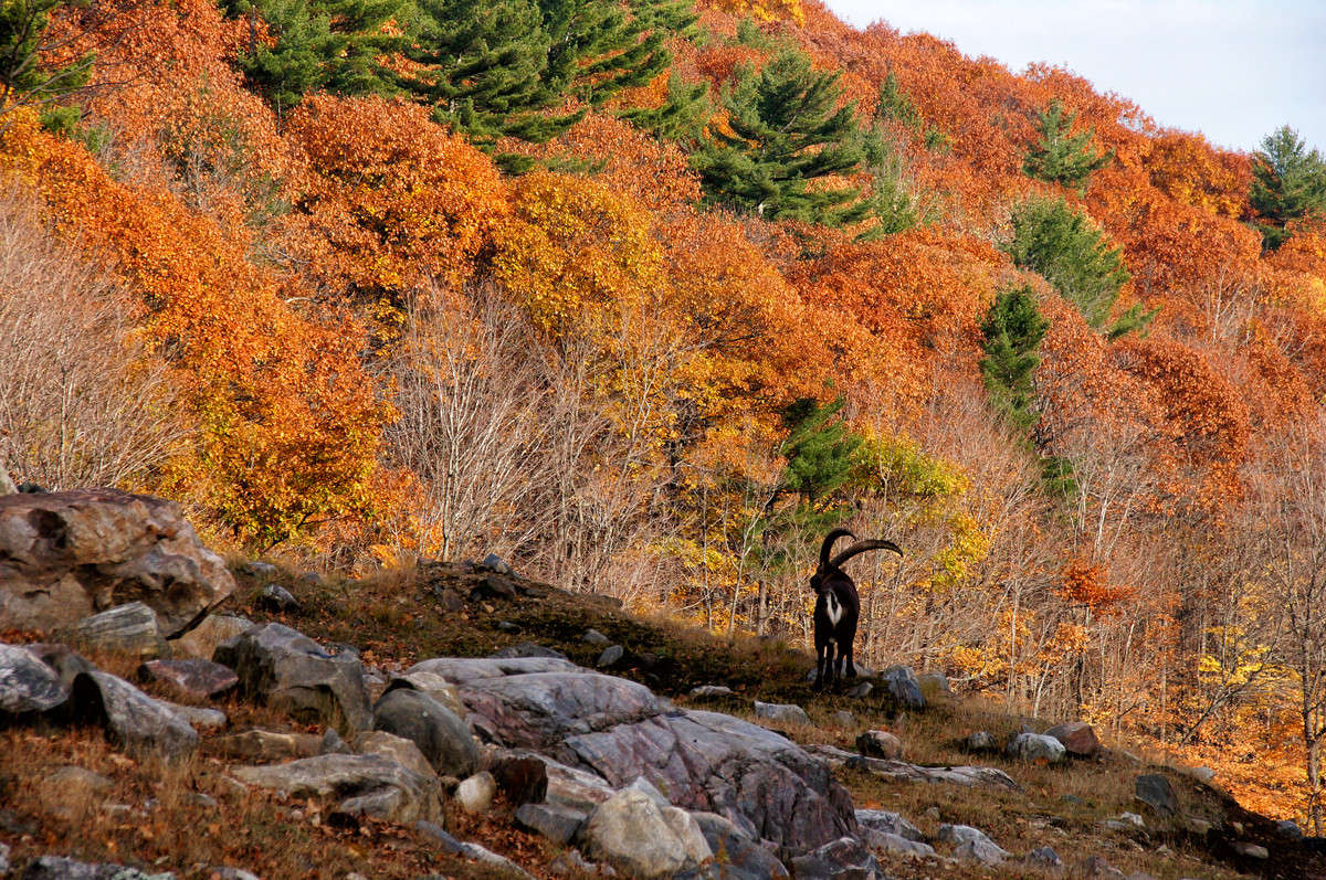 ������ ���� ���� ����� �������  �� PhotoGeek.ru #�������� ��� #������ ��� �������