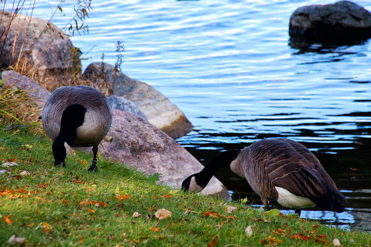 ������� ����� ���������� ����� �������  �� PhotoGeek.ru #�������� ���