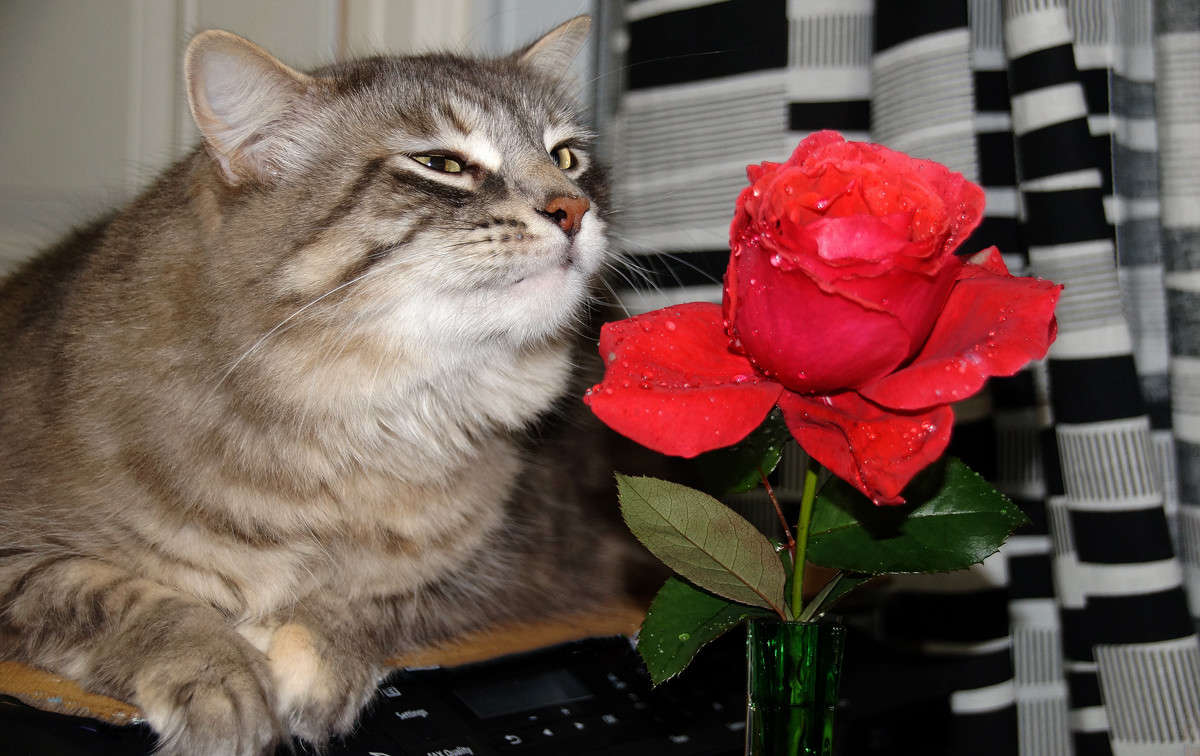 ���������� � ����������� ����� �������  �� PhotoGeek.ru #�������� ���