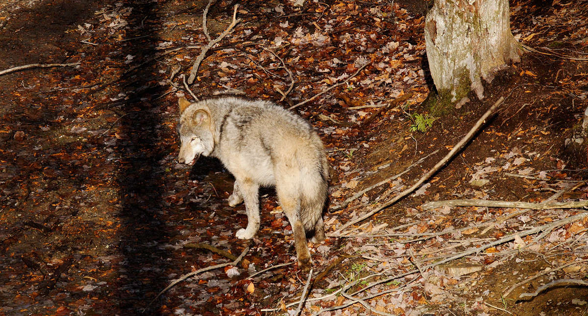 ��� ��� �����? ����� �������  �� PhotoGeek.ru #�������� ���