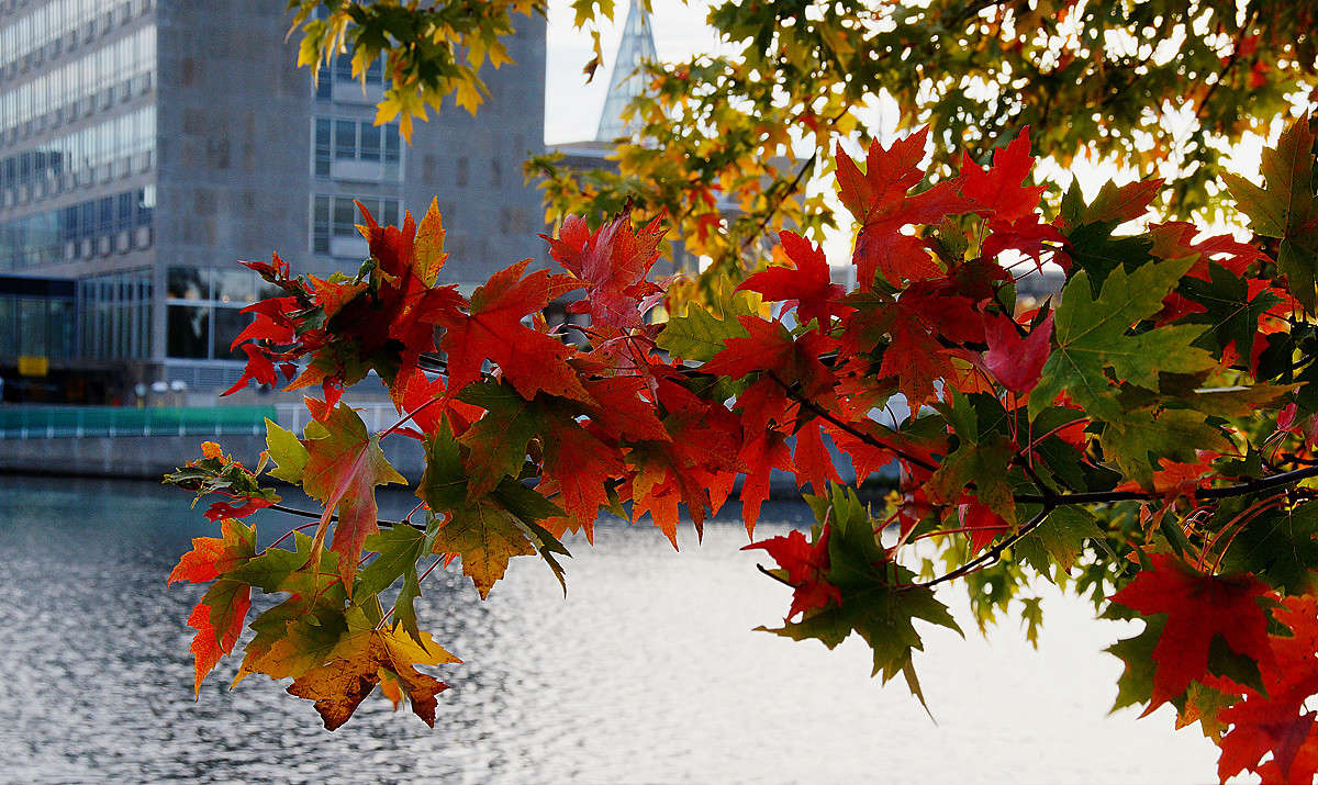 �������� �������� ����� �������  �� PhotoGeek.ru #�����