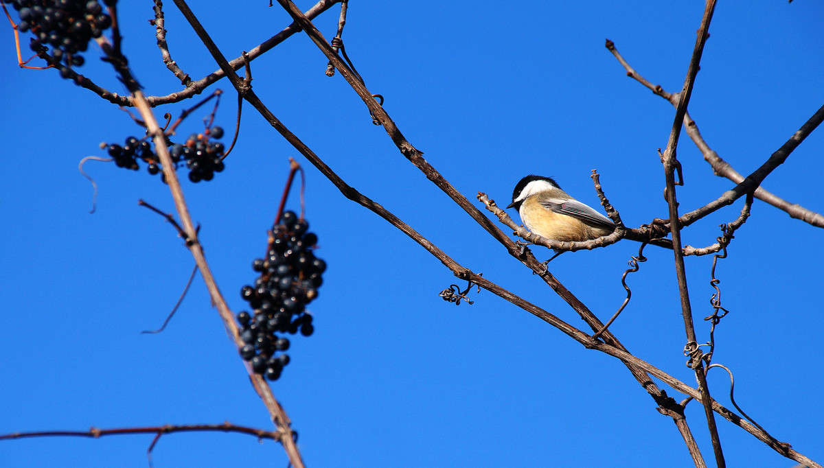 ������ � ���� ����� �������  �� PhotoGeek.ru #�������� ��� #������ ��� �������