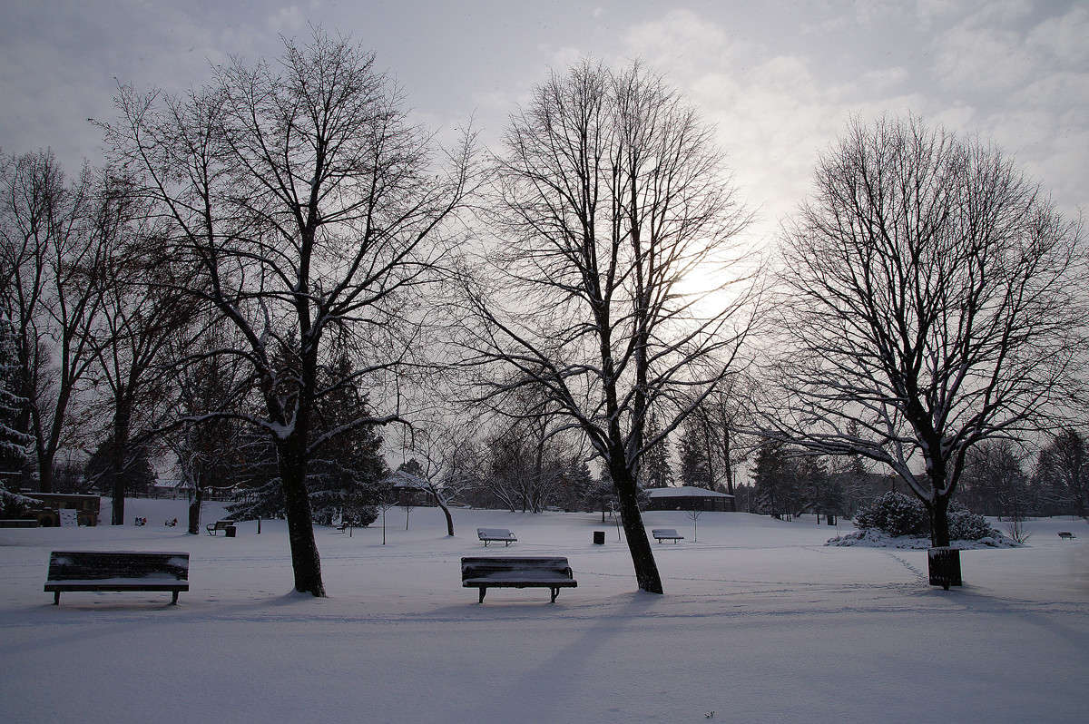 �������� ������ ������ ����� �������  �� PhotoGeek.ru #������ ��� �������