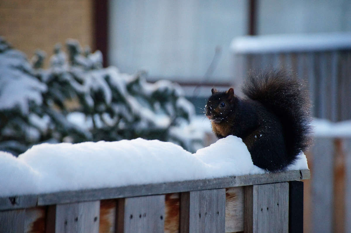 �� ������ �������� ����� �������  �� PhotoGeek.ru #�������� ���