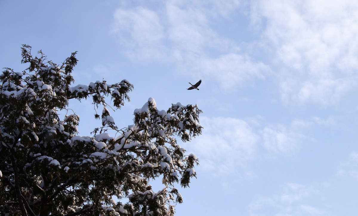 ������ ���������� ����� �������  �� PhotoGeek.ru #�������� ��� #������ ��� �������