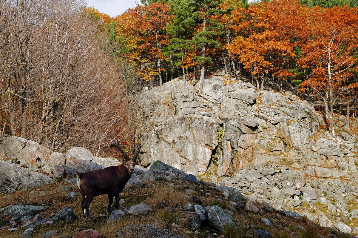 ���� ����� ������ ����� �������  �� PhotoGeek.ru #�������� ��� #������ ��� �������