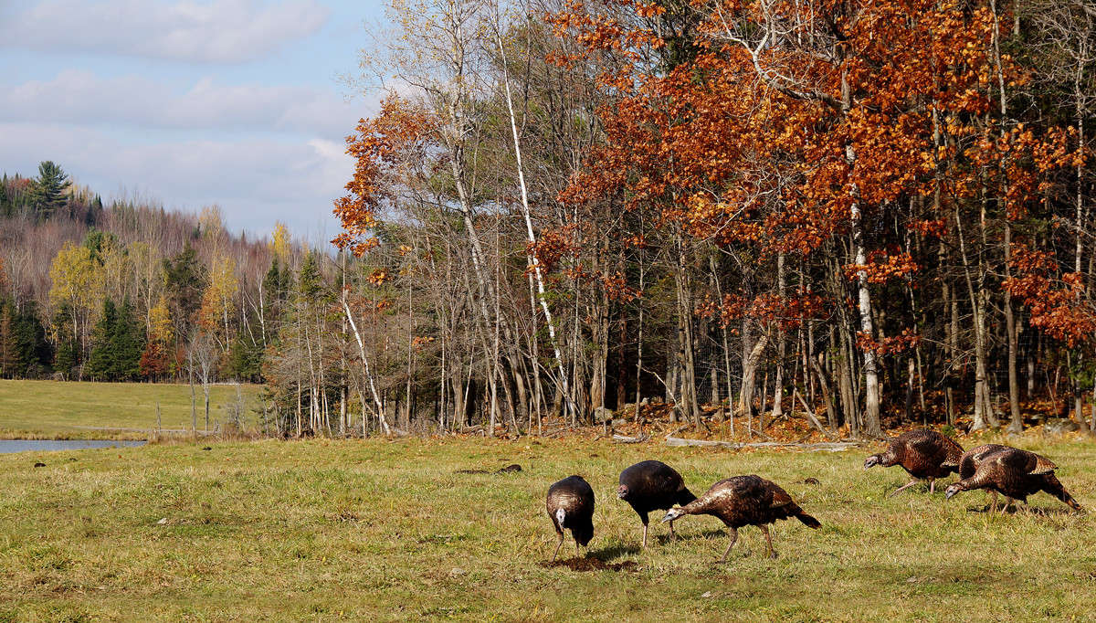 �� ������ ������ ����� �������  �� PhotoGeek.ru #�������� ��� #������ ��� �������