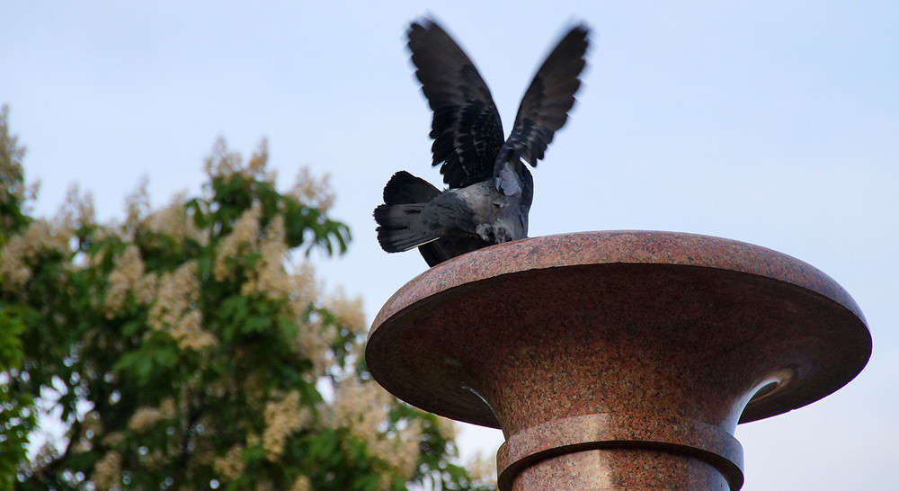 �������� ������ ����� �������  �� PhotoGeek.ru #�������� ���