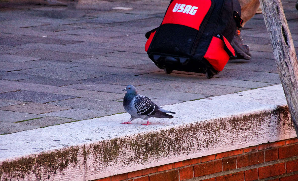 ���� ����, ���� ������ ����� �������  �� PhotoGeek.ru #�������� ����������