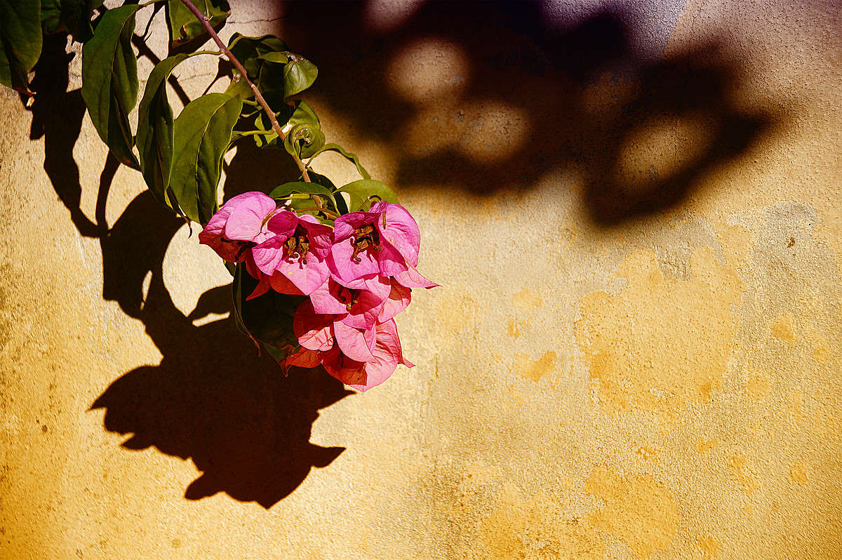 �� ����� ������� � ����� ������ ���� ����� �������  �� PhotoGeek.ru #�����