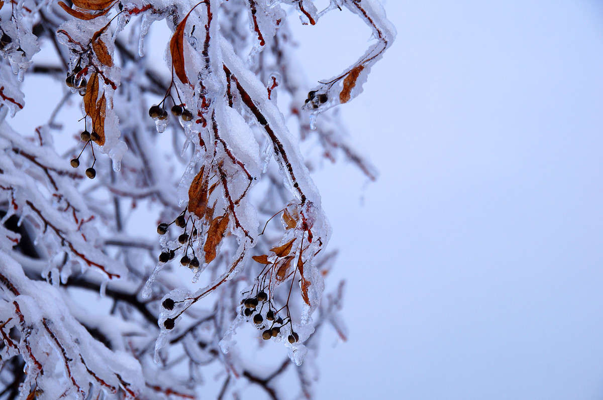 ���������� ����� �������  �� PhotoGeek.ru #������ ��� �������