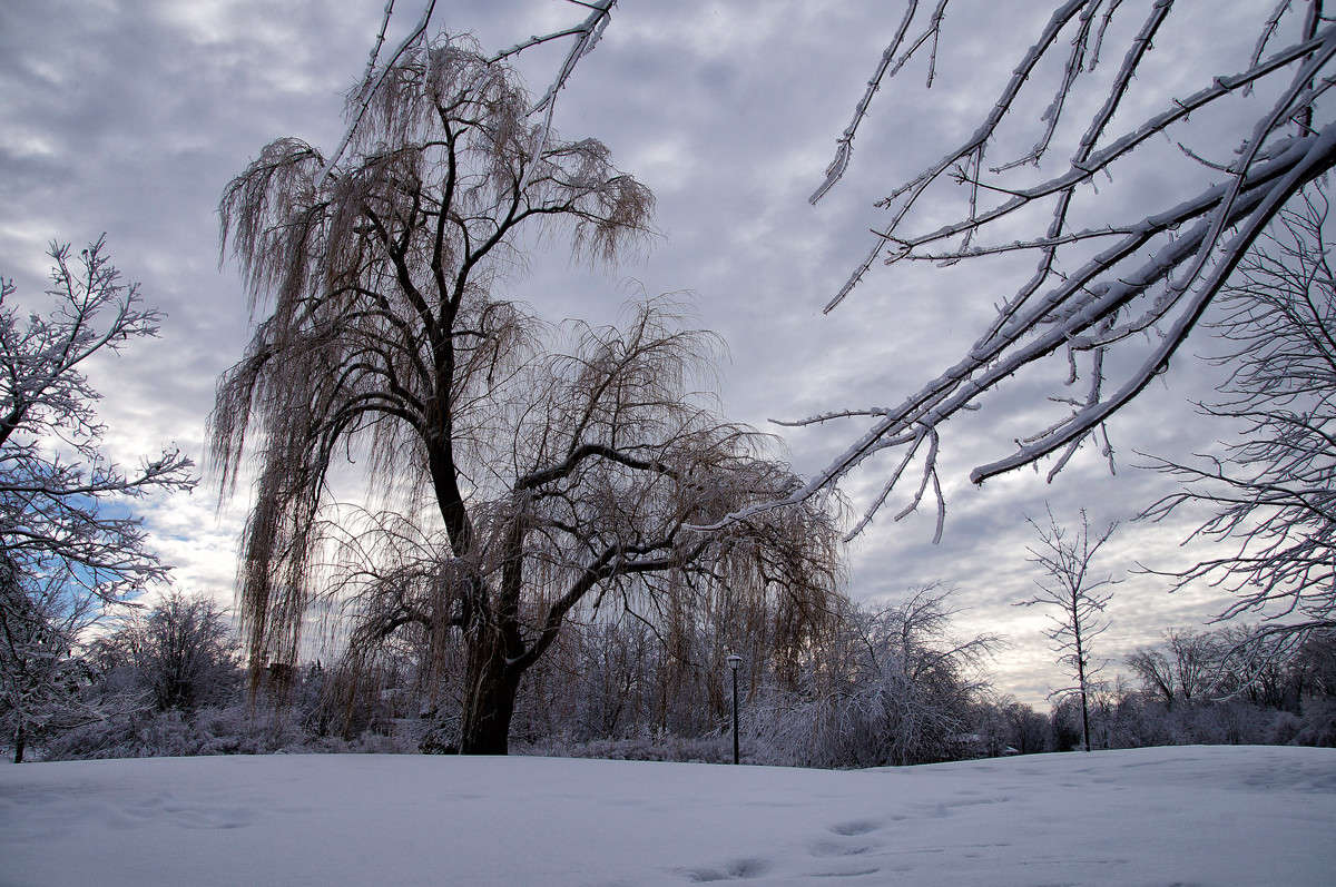 ��������� ����� �������  �� PhotoGeek.ru #����� #������ ��� �������