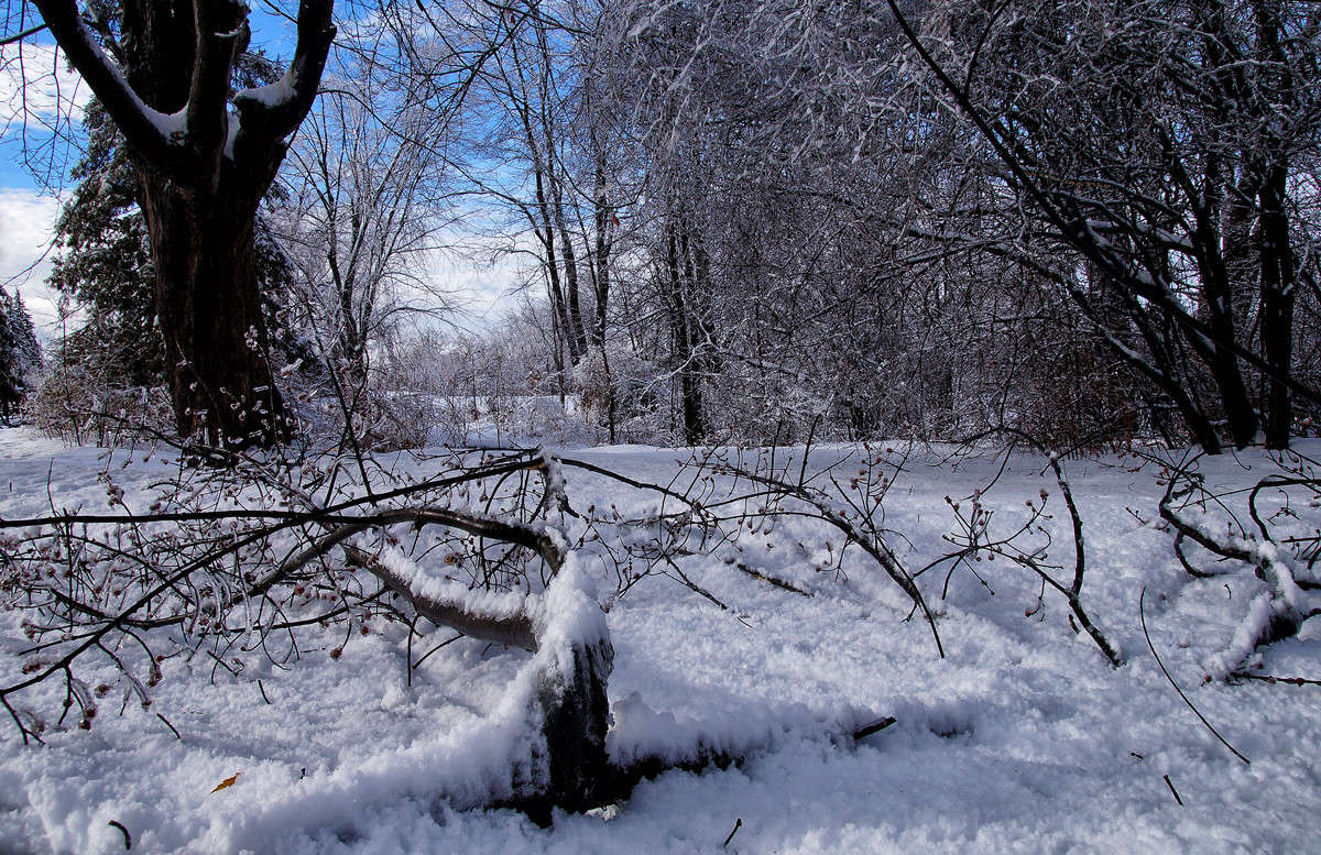 ������ ���������� ����� �������  �� PhotoGeek.ru #������ ��� �������