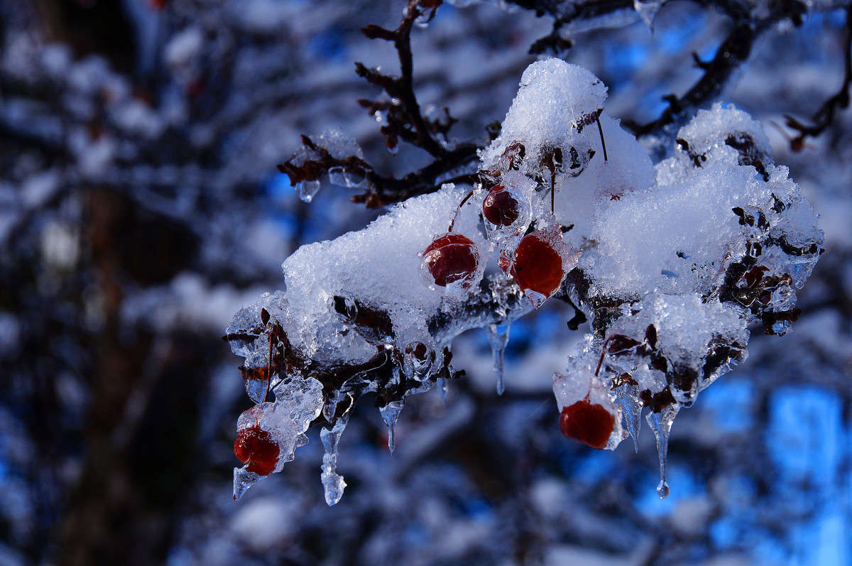 � ����������� ���� ����� �������  �� PhotoGeek.ru #������ ��� �������