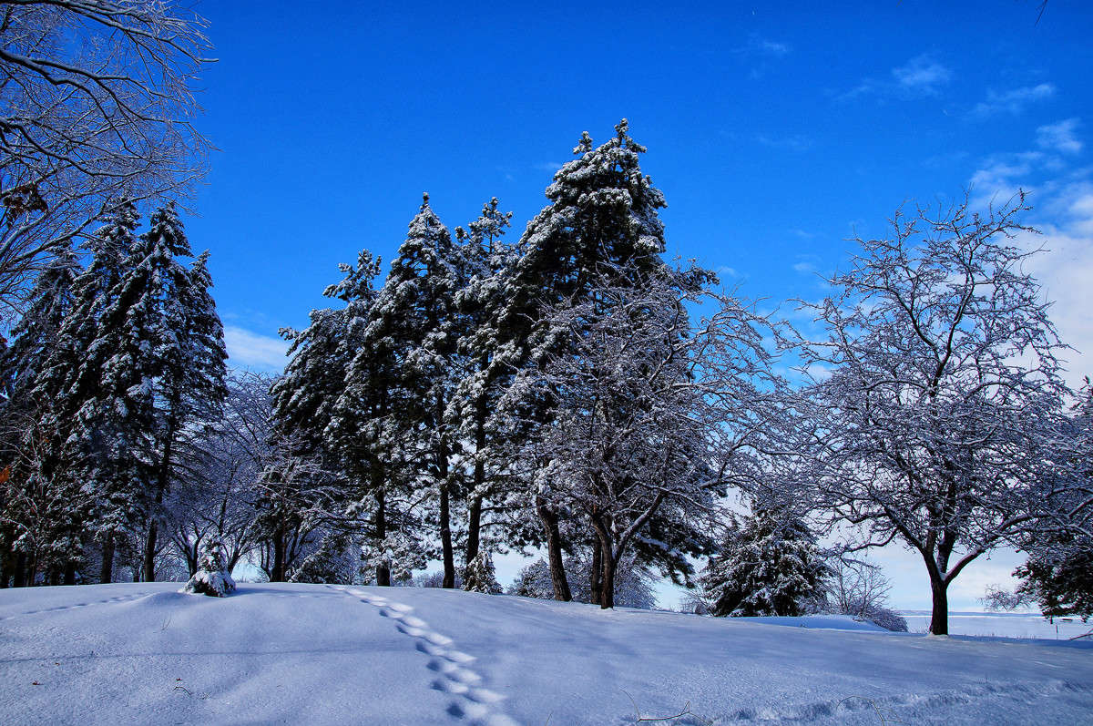 �����-������� ����� �������  �� PhotoGeek.ru #������ ��� �������