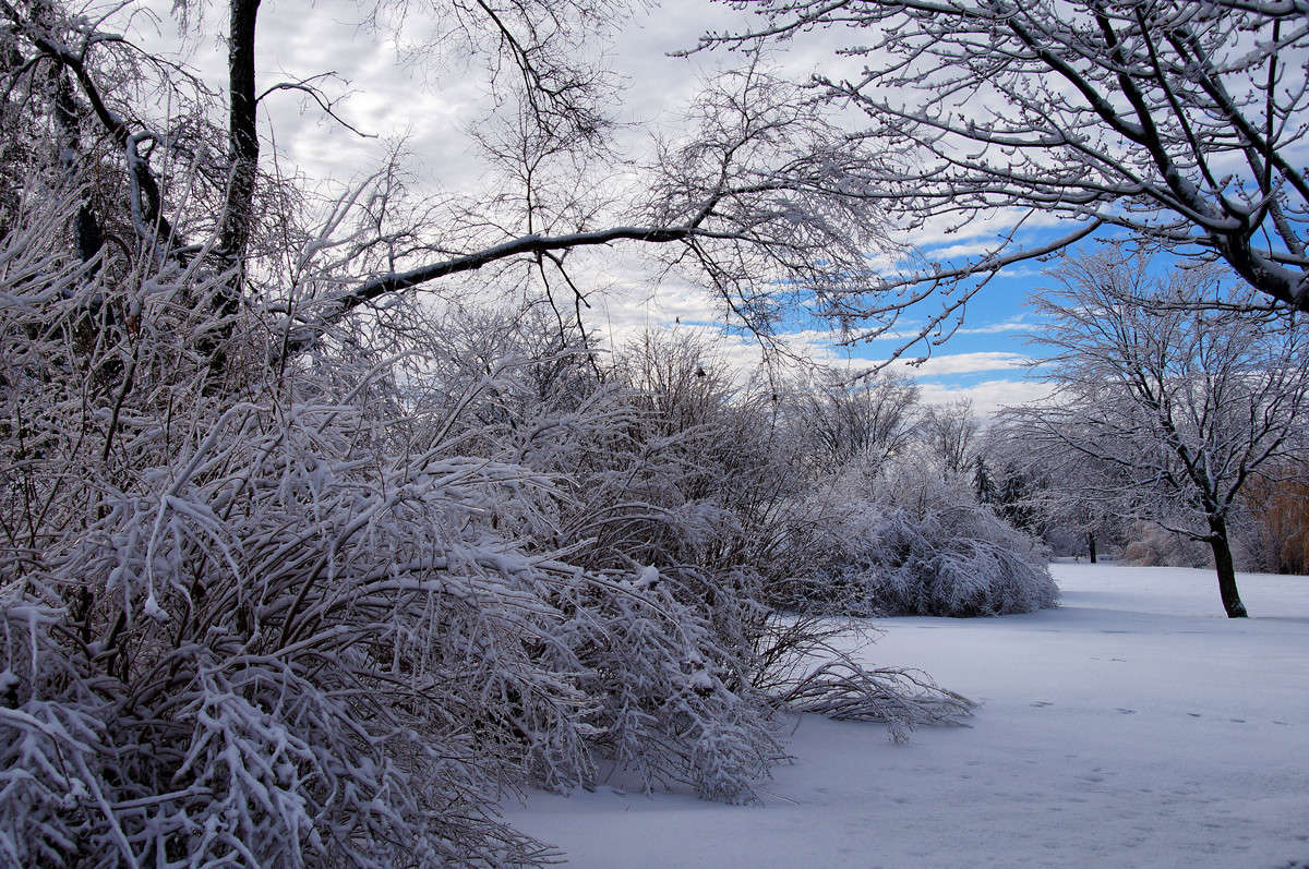 ������� ������ ����� �������  �� PhotoGeek.ru #������ ��� �������