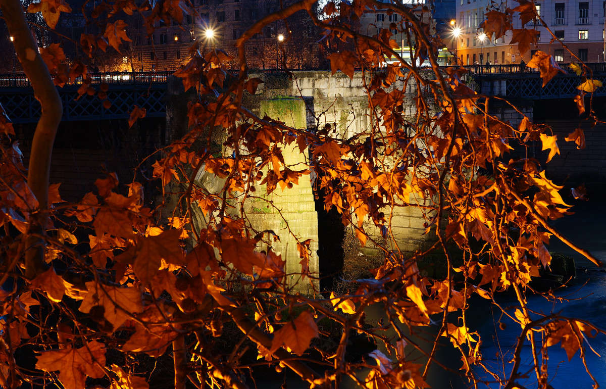 ��������� �� ������ ���� ����� �������  �� PhotoGeek.ru #�����