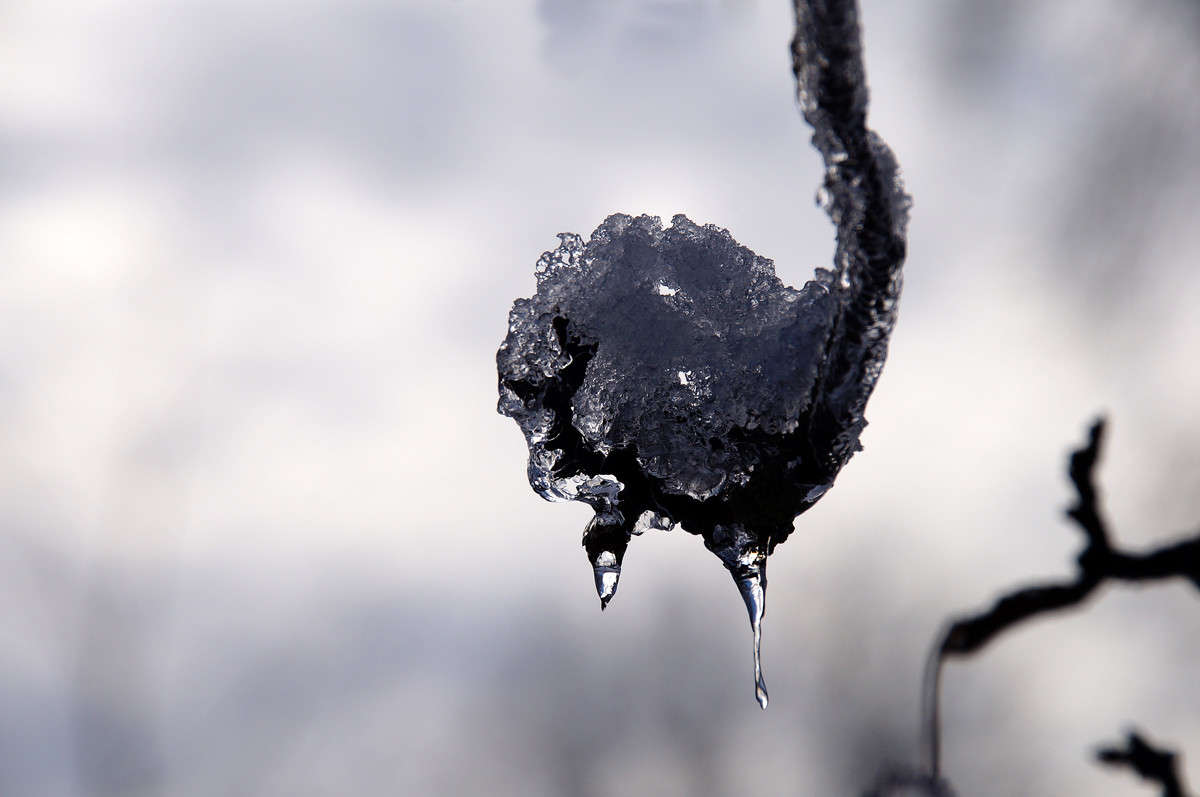 �������� ����� �������  �� PhotoGeek.ru #������ ��� �������