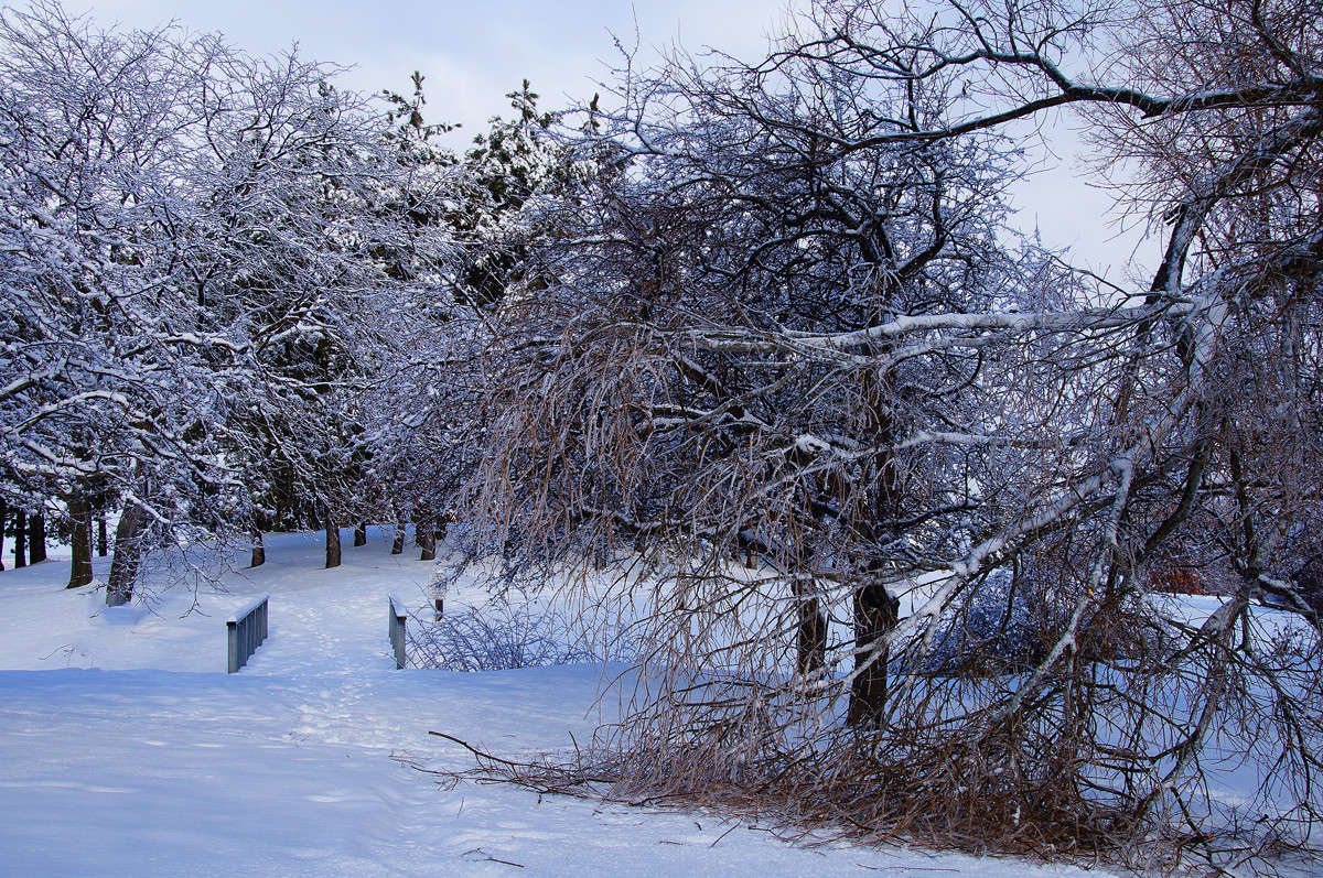 ��� ������� ����� ������ ����� �������  �� PhotoGeek.ru #������ ��� �������