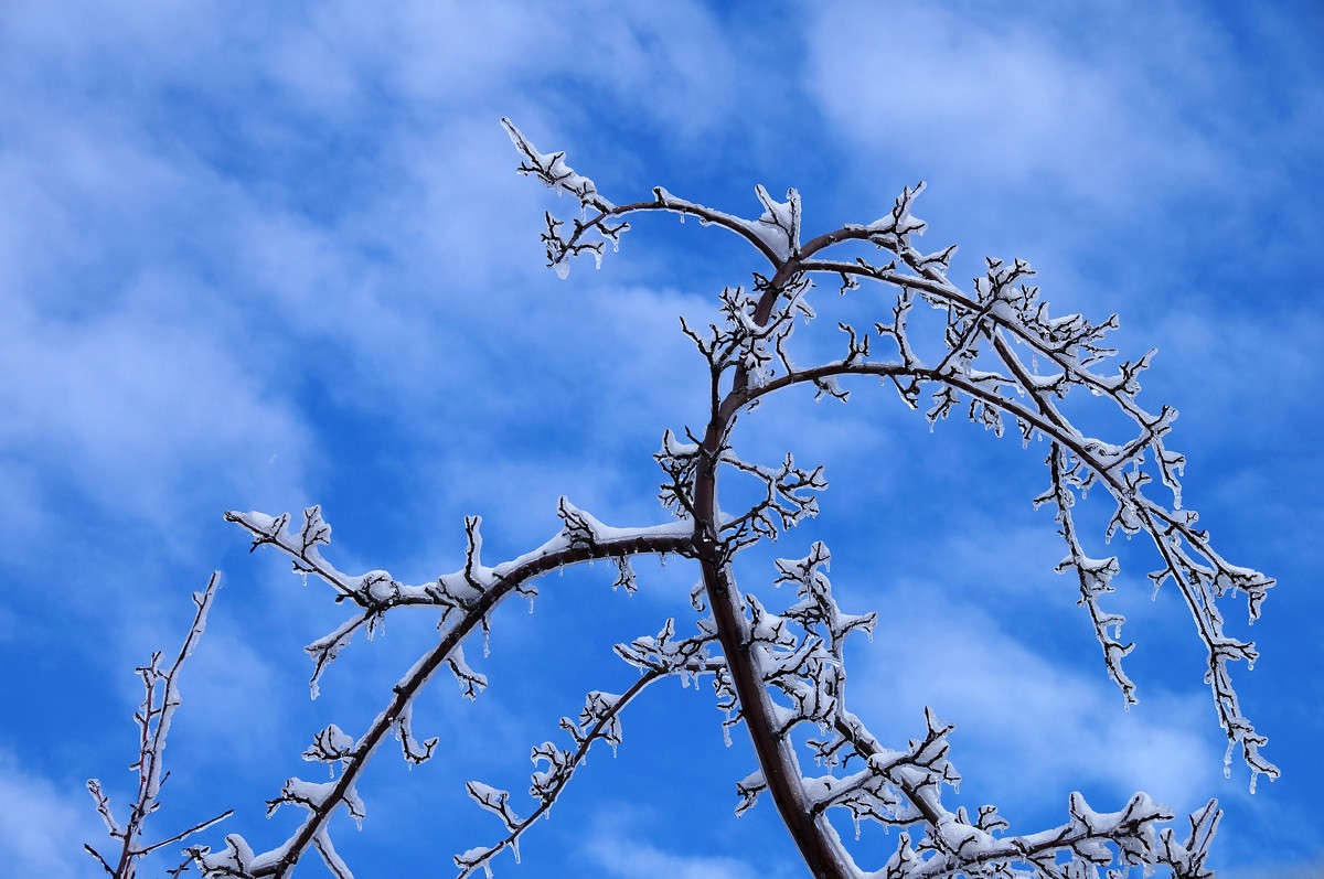 ��������� ����� �������  �� PhotoGeek.ru #������ ��� �������