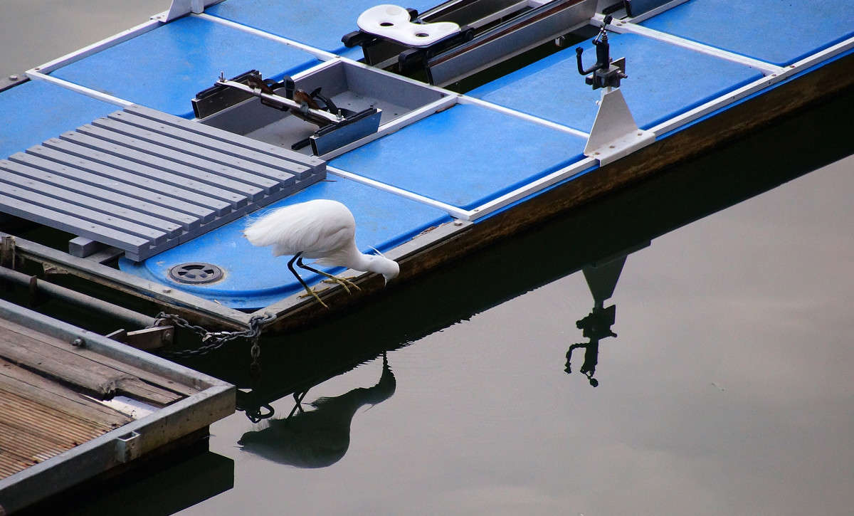 ������ � ���� ��� � ������� ����� �������  �� PhotoGeek.ru #����� #�������� ���