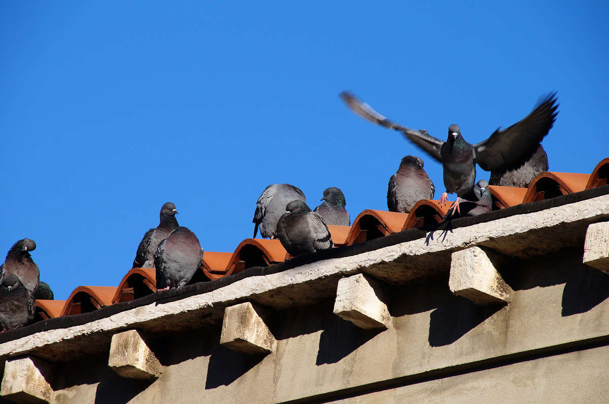 ���������� ����� �������  �� PhotoGeek.ru #����� #�������� ���