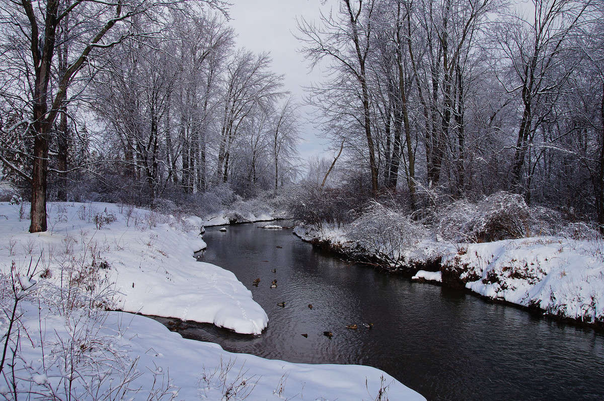 ������ ������� ����� �������  �� PhotoGeek.ru #������ ��� �������