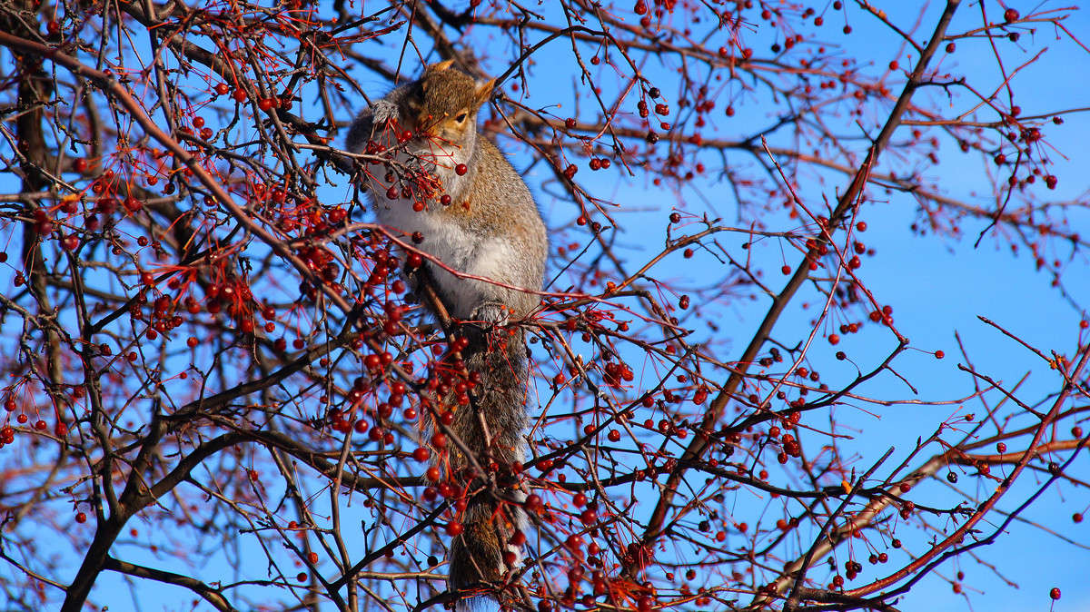 � ����� ��� �������� ����� �������  �� PhotoGeek.ru #�������� ��� #������ ��� �������