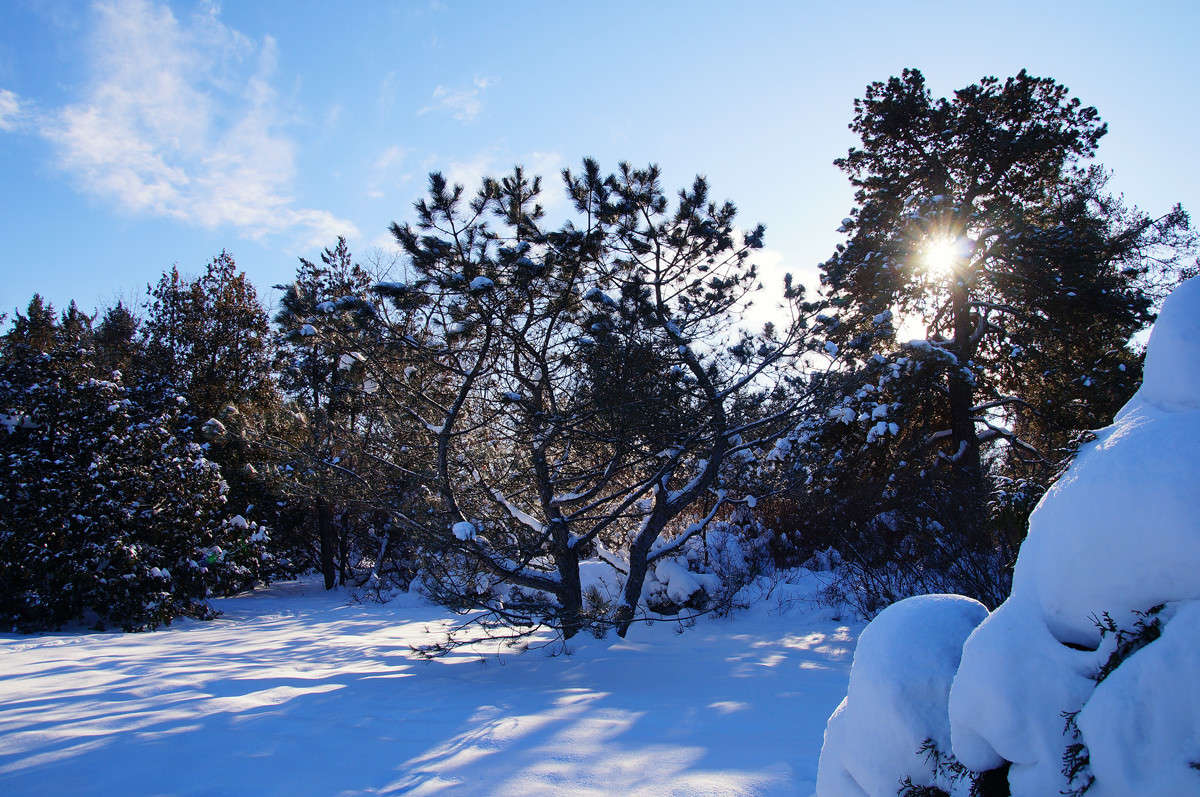 ����������� ����� ����� �������  �� PhotoGeek.ru #������ ��� �������