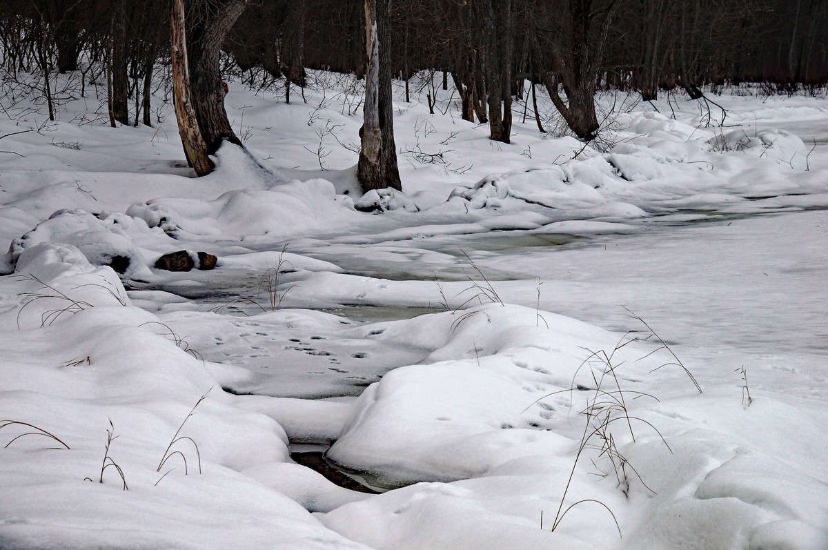 �������� ��� �� ����� ������ ����� �������  �� PhotoGeek.ru #������ ��� �������