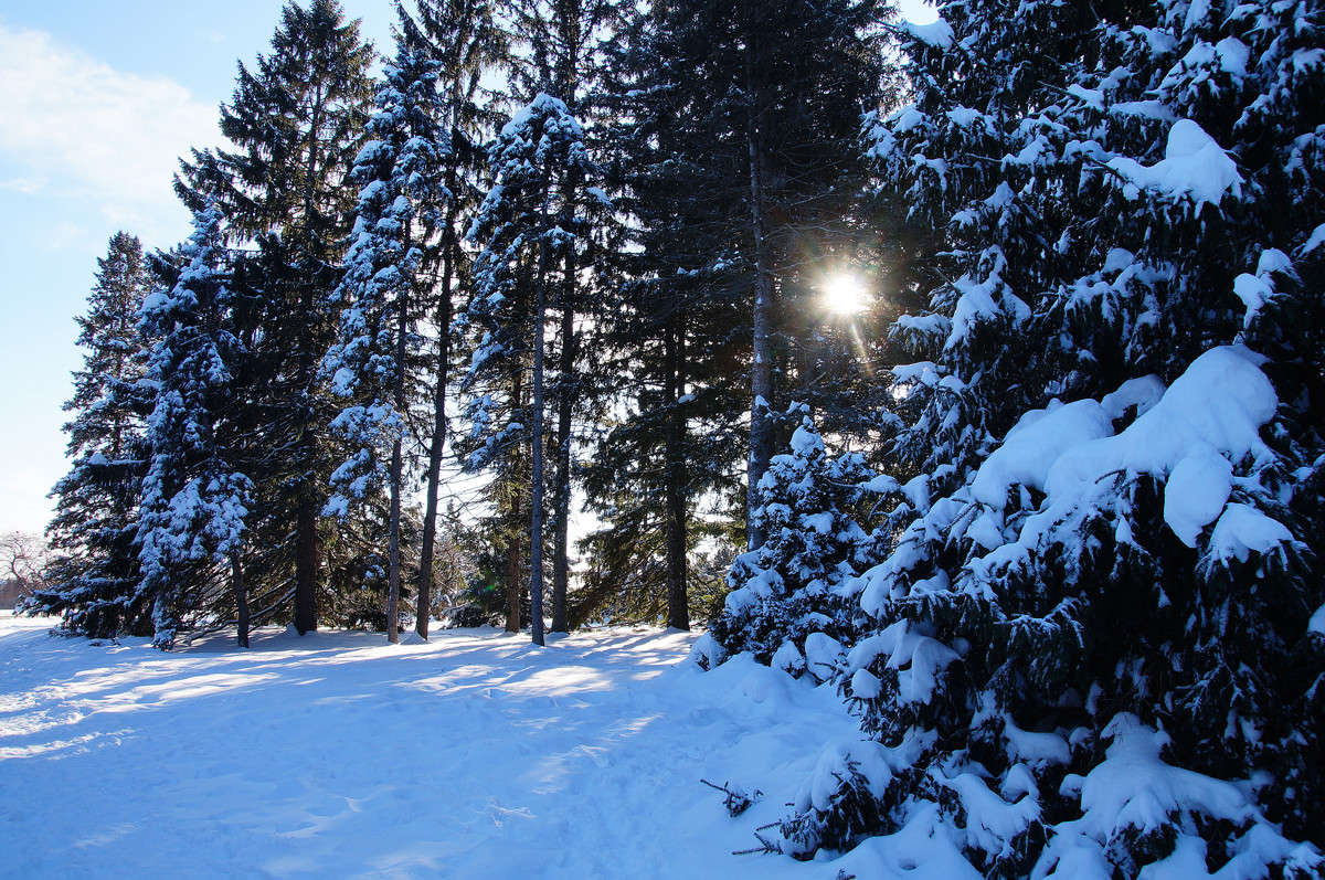 ��������������� �������� ����� �������  �� PhotoGeek.ru #������ ��� �������