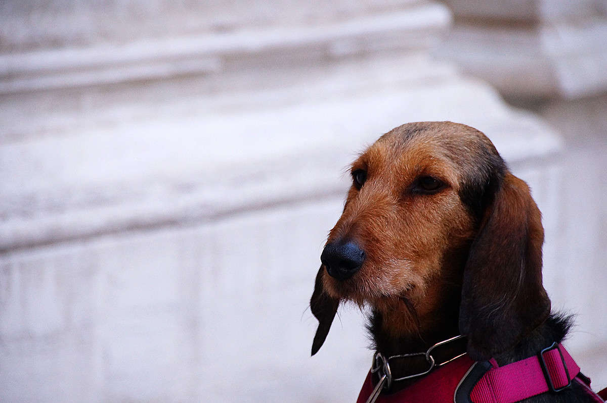 ������ ���������� ����� �������  �� PhotoGeek.ru #����� #�������� ���