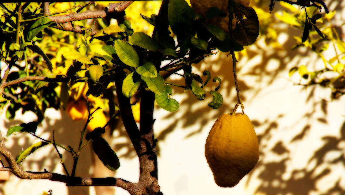 � ���� �����... ����� �������  �� PhotoGeek.ru #������ ��� �������