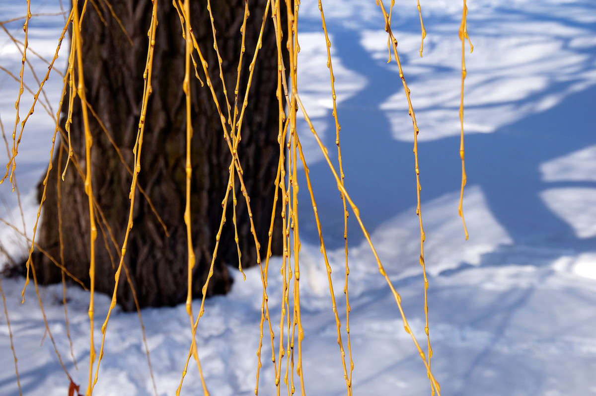 ����� �������� ����� �������  �� PhotoGeek.ru #������ ��� �������