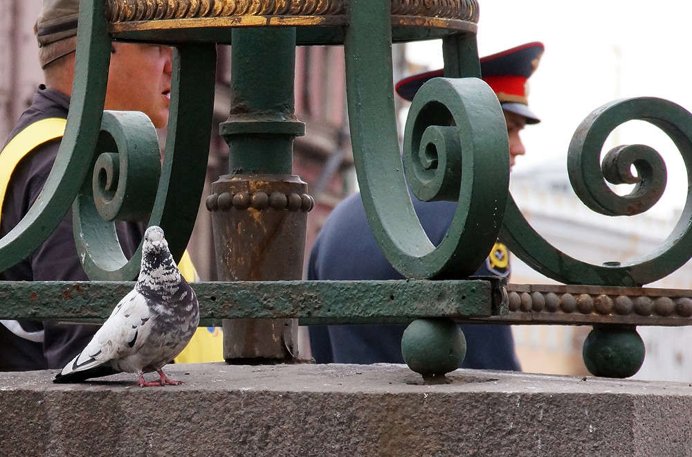 ���� �� ����� ����� �������  �� PhotoGeek.ru #�������� ����������