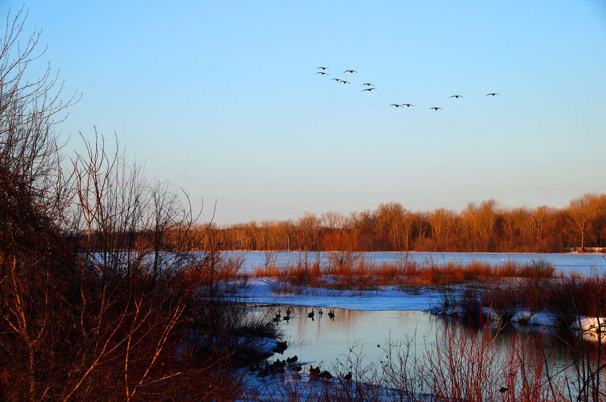 ����� ��������� ����� �������  �� PhotoGeek.ru #�������� ��� #������ ��� �������