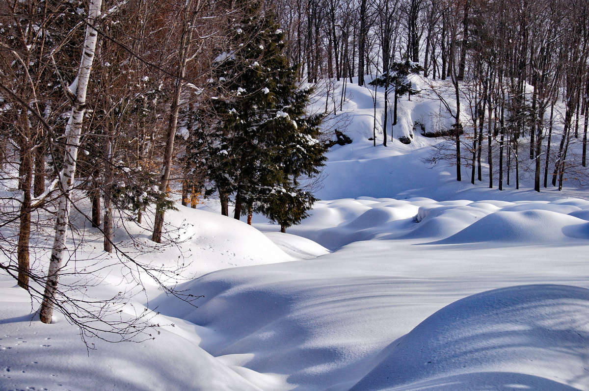 ������ ������ ������� ����� ����� �������  �� PhotoGeek.ru #������ ��� �������