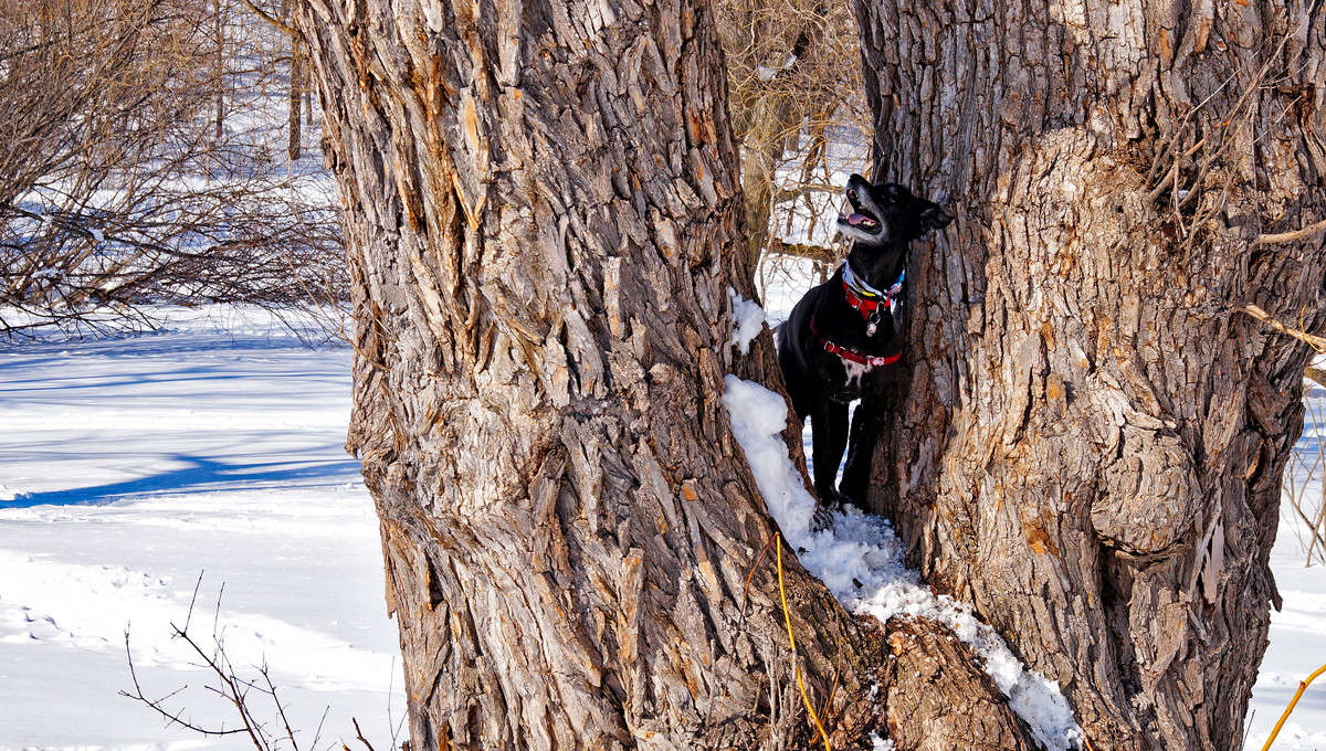 ������� ���� ����� �������  �� PhotoGeek.ru #�������� ���