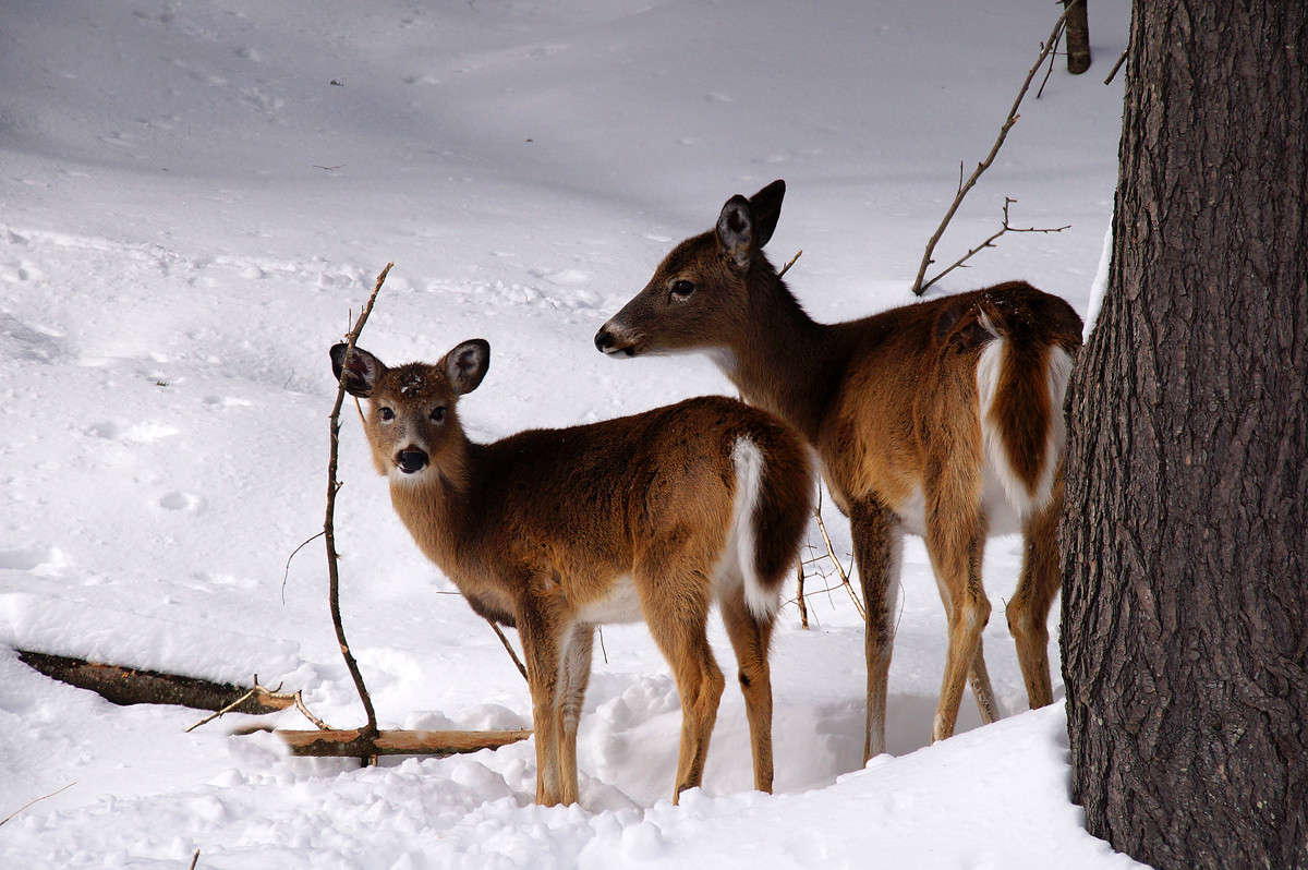 ������ ���� ����� �������  �� PhotoGeek.ru #�������� ���